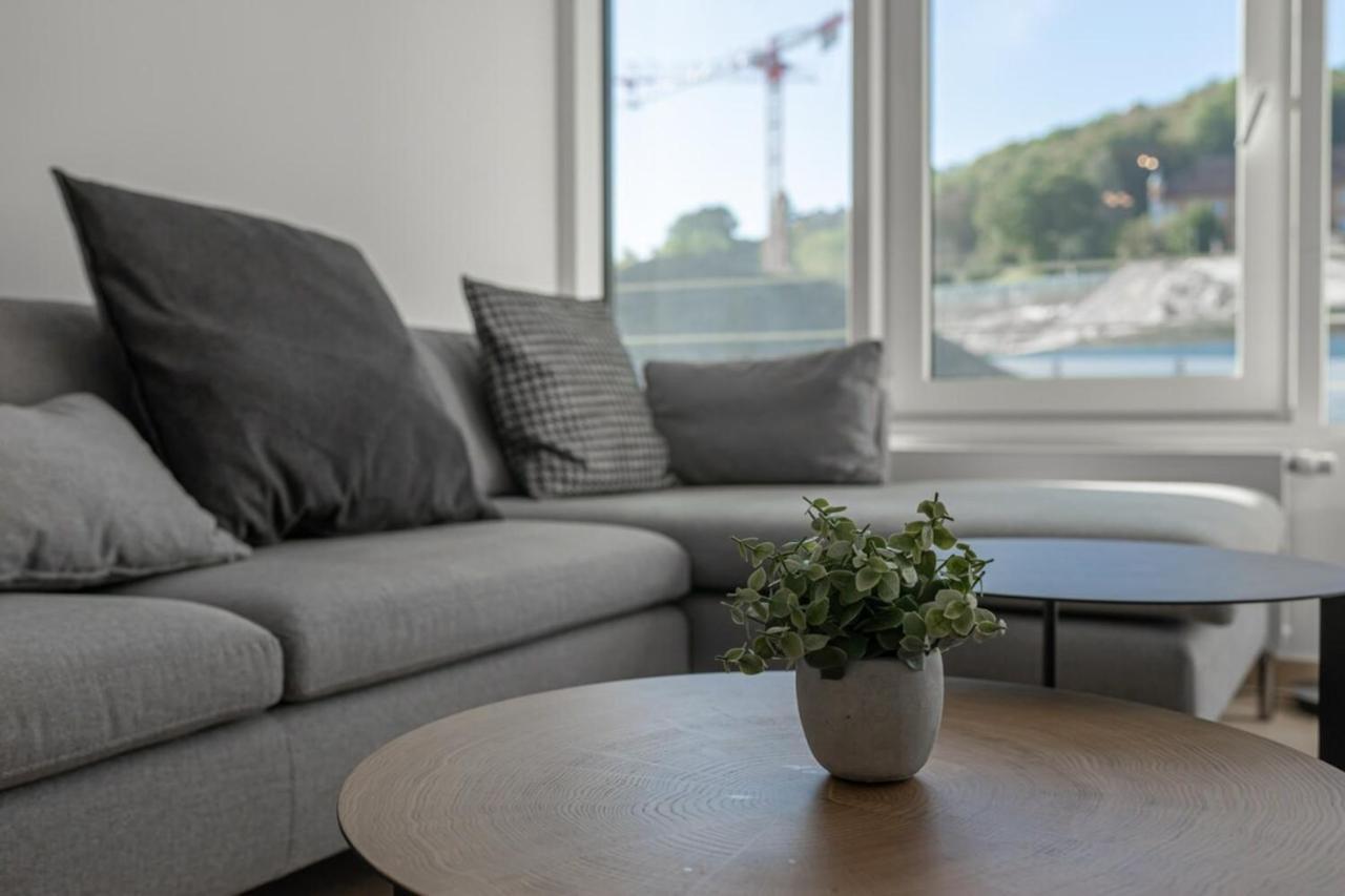 L'Estrade Appartement Annecy Luaran gambar